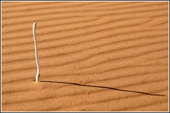 Business Benchmarking or Performance Benchmarking & Audit